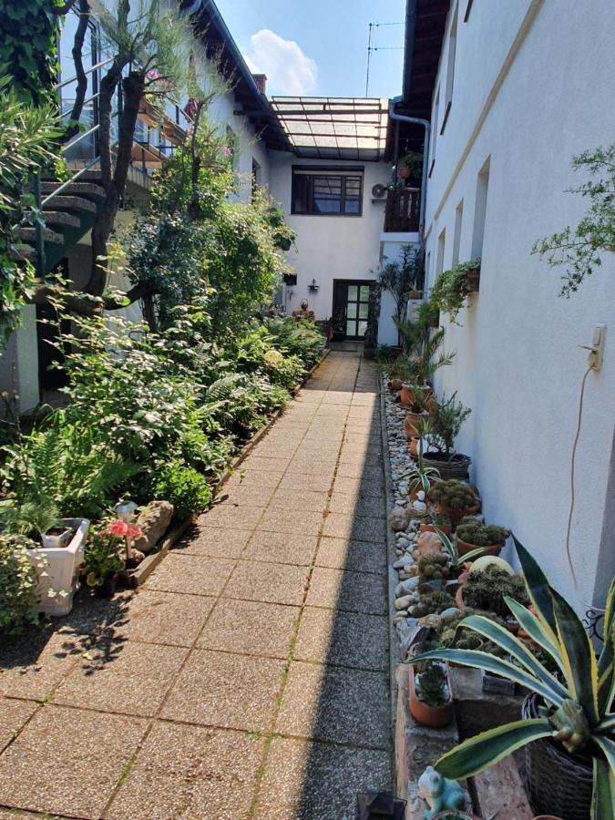 Appartement Roiss Подерсдорф-ам-Зе Экстерьер фото